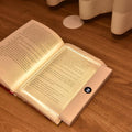 LED Reading Light